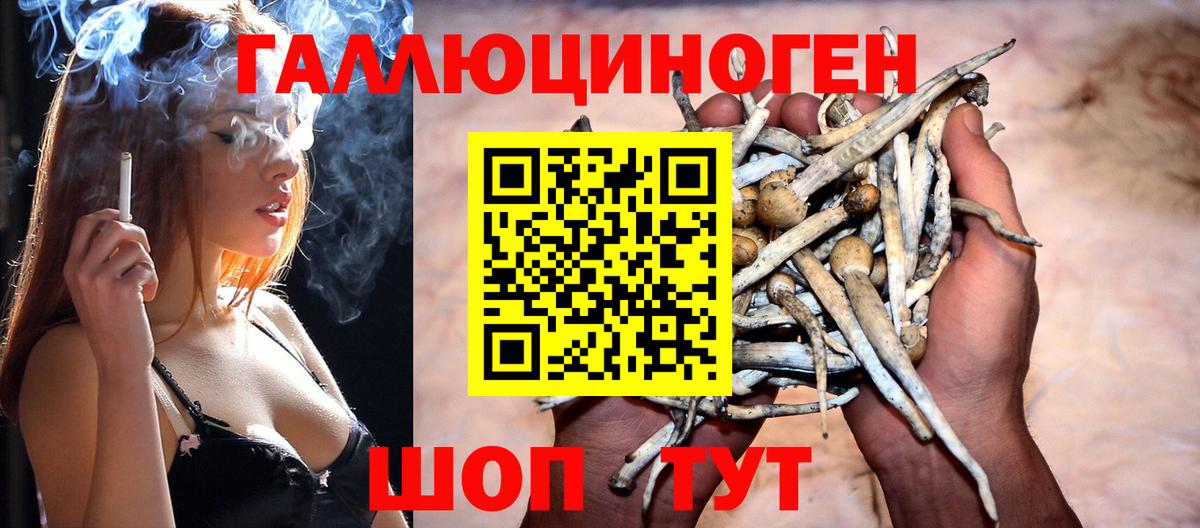 Галлюциногенные грибы Magic Shrooms Костомукша