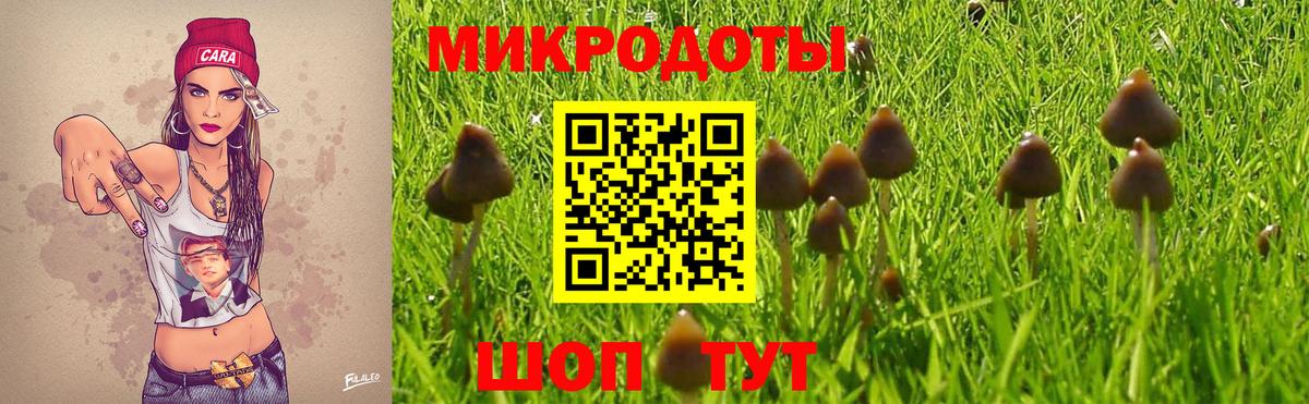 Галлюциногенные грибы MAGIC MUSHROOMS  Галлюциногенные грибы Cubensis  Вход с VPN  Костомукша 